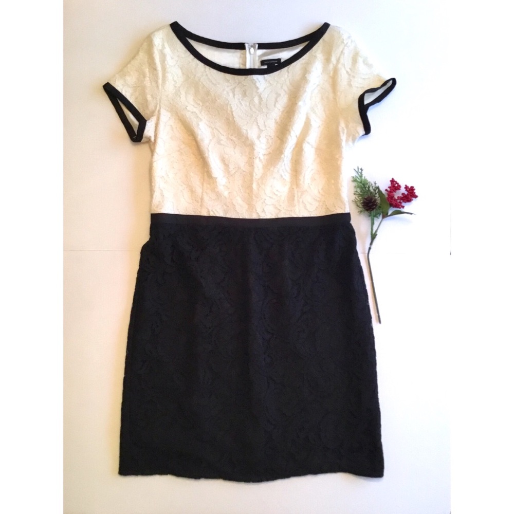 Ann Taylor Cream/Black Lace short sleeved Dress